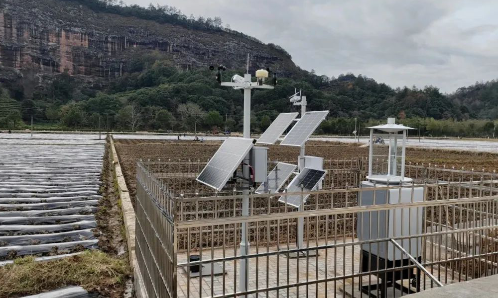 四情监测系统助力泰宁水稻种业基地实现科学的种植、精细管理